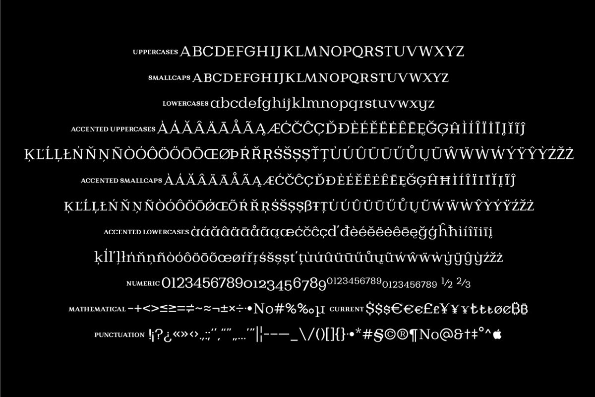Bodrum Slab, a Slab Serif Font by BULENT YUKSEL (Photo 10 of 12)
