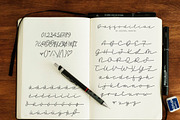 Daffodilias Monoline Script, a Script Font by INKMETHIS (Thumbnail 2 of 5)