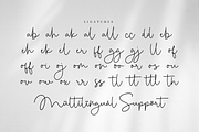 Mallcity - Monoline Script, a Script Font by Sronstudio (Thumbnail 11 of 14)