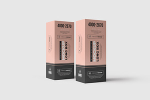 Long Box Mock-up 1