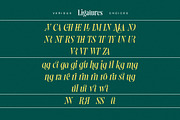 Kronaby Typeface, a Serif Font by alit design (Thumbnail 3 of 16)
