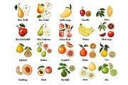 Vector food: vegetables and fruits, a Food Illustration by irina.vaneeva (Thumbnail 12 of 16)
