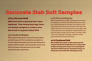 Sancoale Slab Soft, a Slab Serif Font by insigne (Thumbnail 2 of 5)