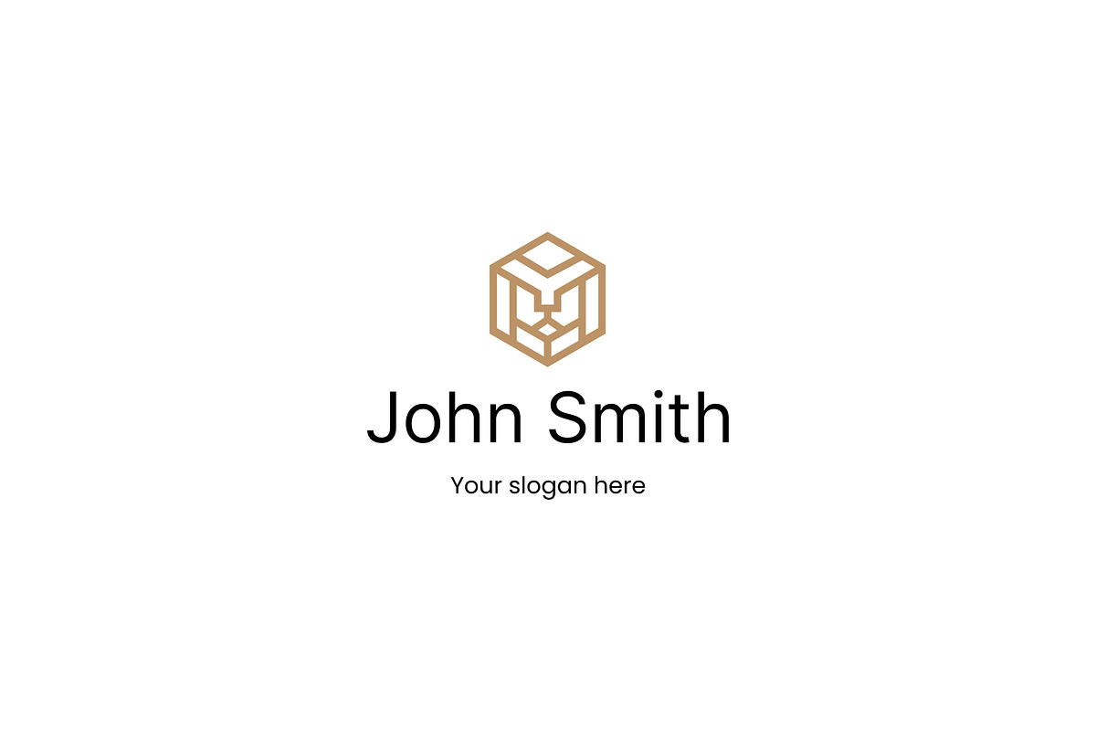 Modern  (Lion) logo, a Branding & Logo Template by Leschinger.cz (Photo 1 of 3)