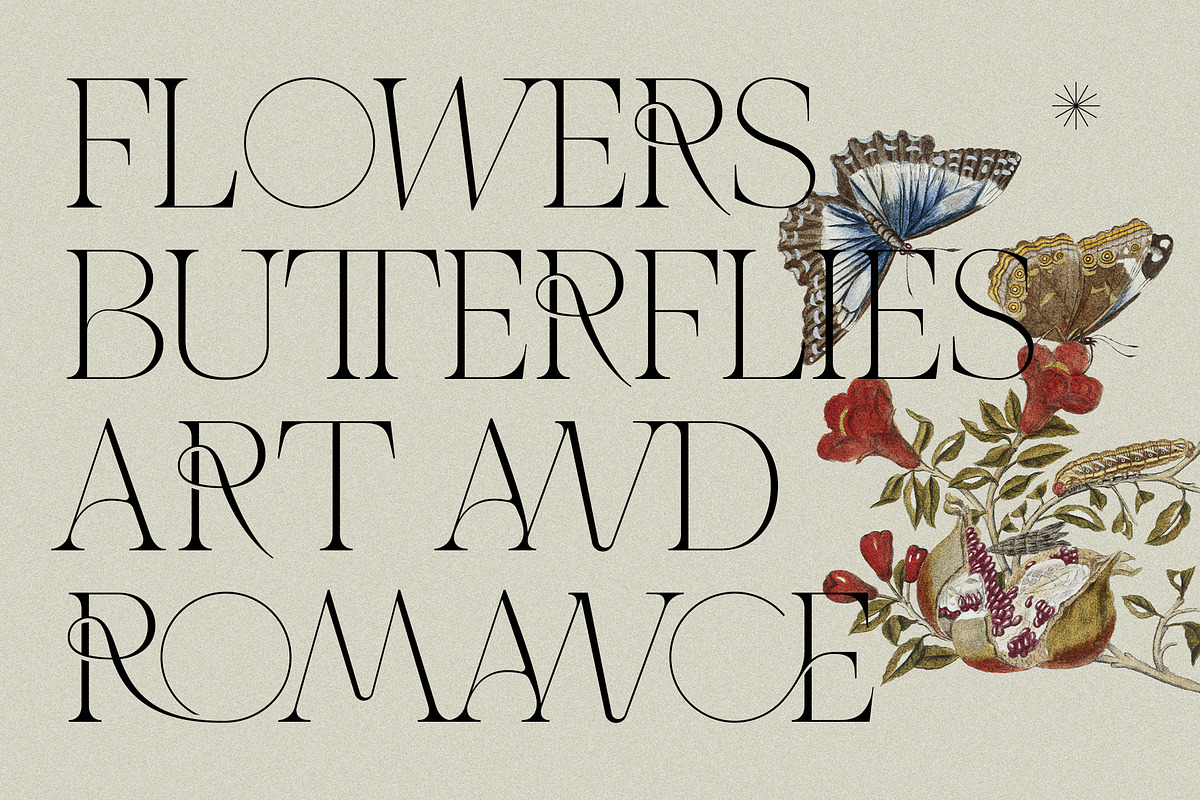 THE FRENCH KISS ROYAL TYPEFACE, a Serif Font by SilverStag Type Foundry (Photo 5 of 23)