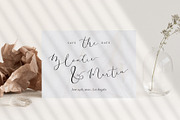 Amelie - Chic & Elegant Script Font, a Script Font by SilverStag Type Foundry (Thumbnail 13 of 23)