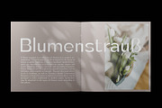 Tulip Algarve Font Family, a Sans Serif Font by Ryul Davidson (Thumbnail 12 of 15)