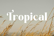 Aura Moon, a Serif Font by Zafiratype (Thumbnail 10 of 15)