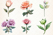 Pink Roses watercolor clipart, an Illustration by Libby Wishes (Thumbnail 2 of 4)