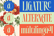 Alkemiogu Modern Serif Display, a Serif Font by timelesstype.co (Thumbnail 6 of 15)
