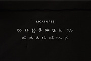 Grestelan, a Script Font by Integritype Studio (Thumbnail 11 of 15)