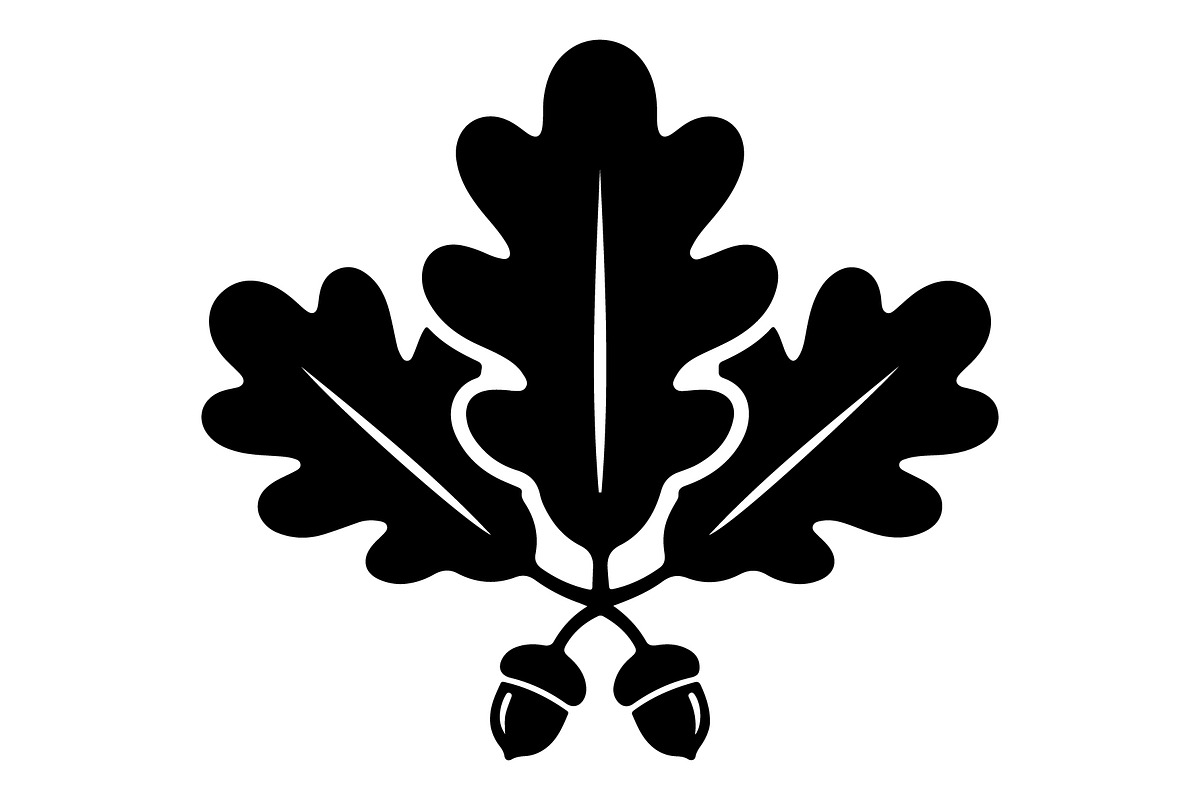 Maple Leaf Oak Leaf Autumn, an Object Graphic by Gfx_Store (Photo 11 of 15)