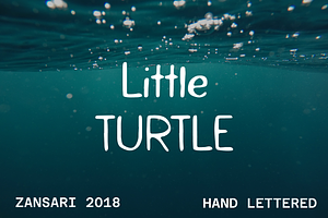 Little turtle hand painted font