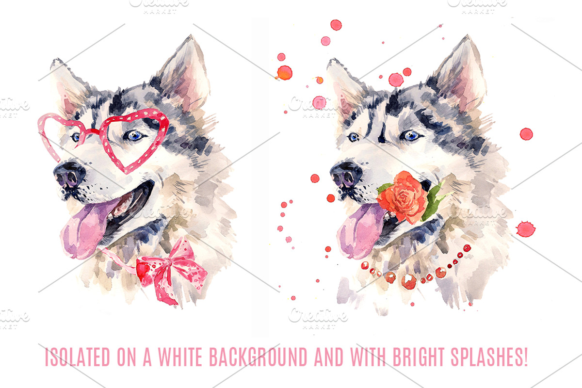 Cute Watercolor Dog, an Animal Illustration by KannaaDesign (Photo 2 of 4)