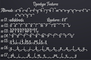 Albertho, a Script Font by N (Thumbnail 10 of 11)