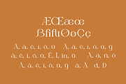 Molgife - Fashion Brand Font, a Serif Font by Iqsiart Studio (Thumbnail 10 of 15)