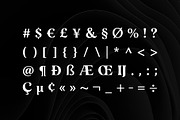 Zackers - Vintage Serif, a Serif Font by RC graphics (Thumbnail 3 of 7)