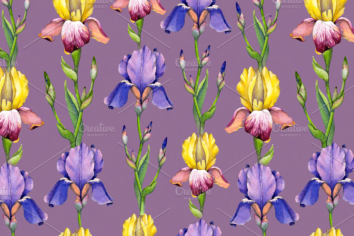 Watercolor iris flowers kit, a Texture Illustration by Sundra (Photo 6 of 9)