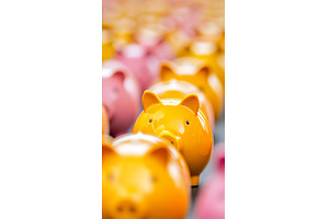 Rows of colorful piggy banks, a Business Photo by Lermont51