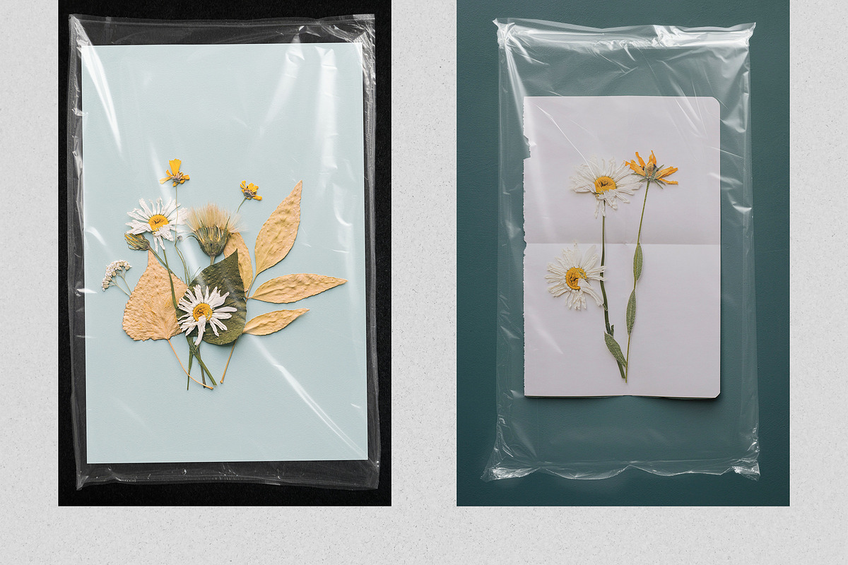 Plastic Package Wrap Effect Overlays, a Brushes & More by PhotoSpirit (Photo 4 of 9)
