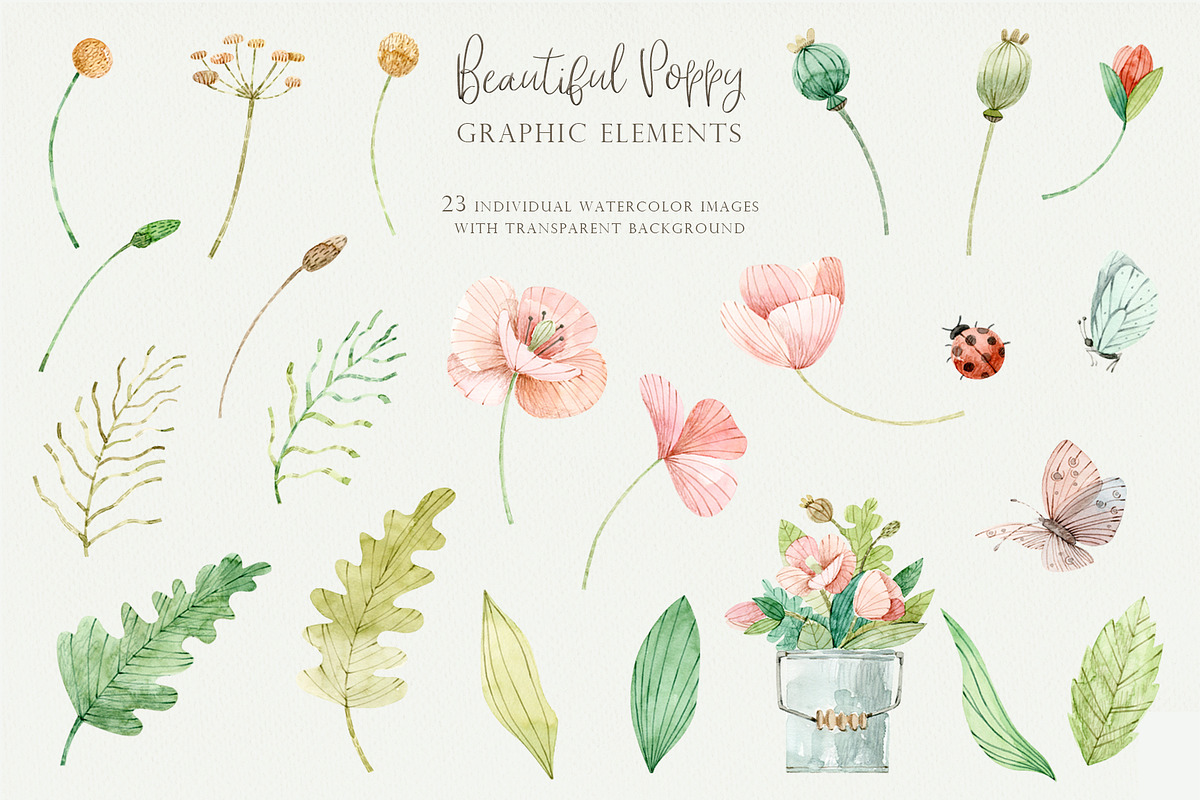 Beautiful Poppy, an Illustration by svetsum (Photo 4 of 9)