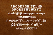 Qairen Modern Retro Serif Font, a Serif Font by Storytype Studio (Thumbnail 13 of 15)