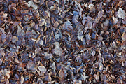Background textiles autumn leaves, a Background Photo by MartinShop (Thumbnail 2 of 3)