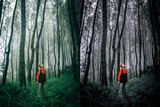 Crisp Adobe Lightroom Preset, a Preset Add-On by Voleshads (Thumbnail 2 of 12)