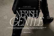 GC Ballerina - Stylish Serif Italic, a Serif Font by Glyphonic (Thumbnail 4 of 15)