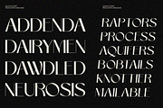 Mucks, a Sans Serif Font by zaaintype (Thumbnail 7 of 11)