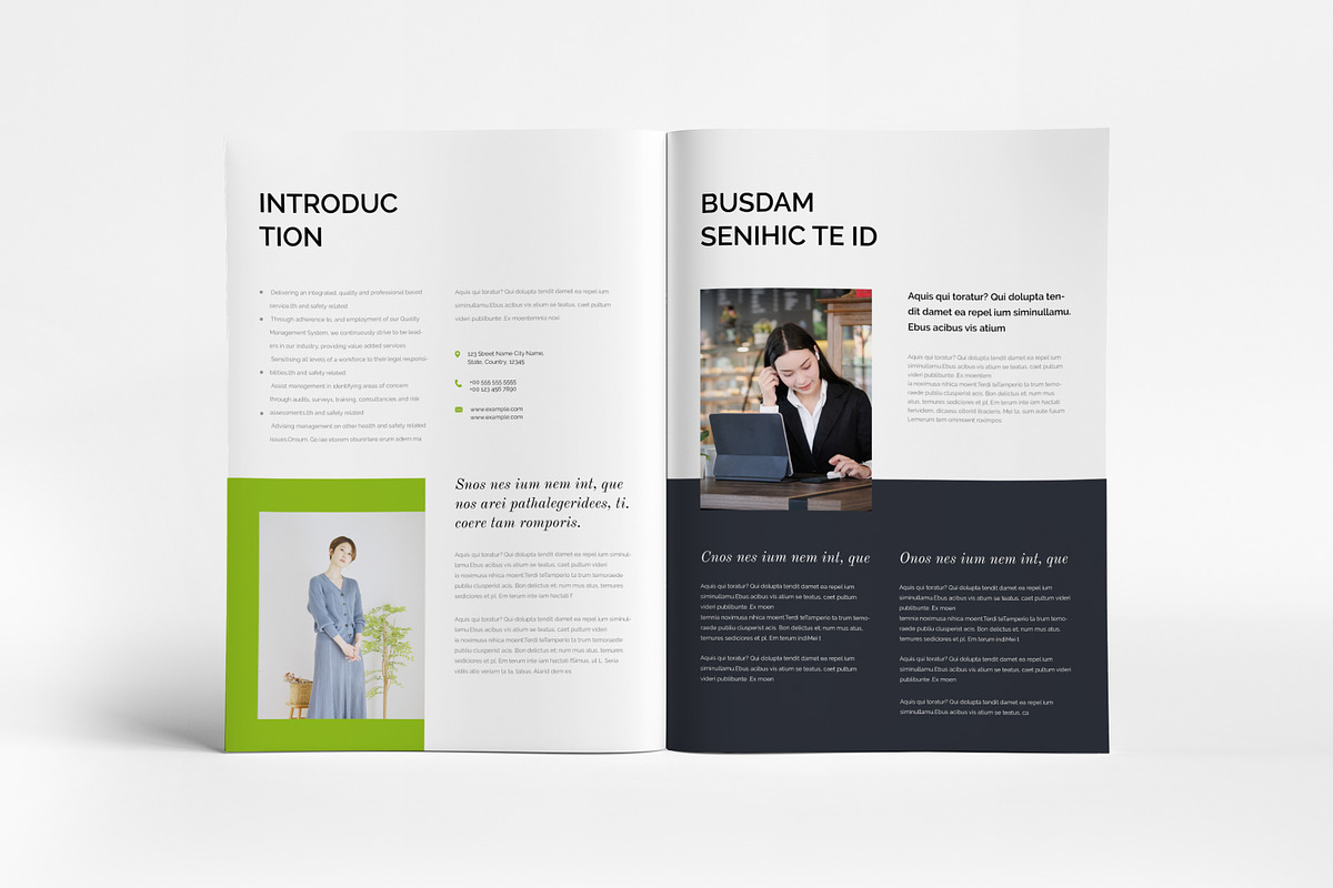 Creative Proposal Template I Canva, a Brochure Template by PixWork (Photo 3 of 9)
