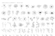 Ultimate Flower & Leaf Collection, an Object Graphic by Pretty Little Lines (Thumbnail 32 of 47)