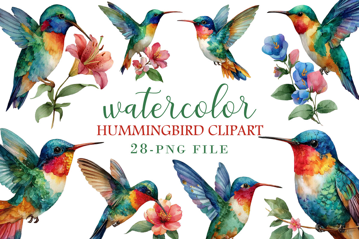 Watercolor Hummingbird Clipart, an Illustration by Libby Wishes (Photo 1 of 4)