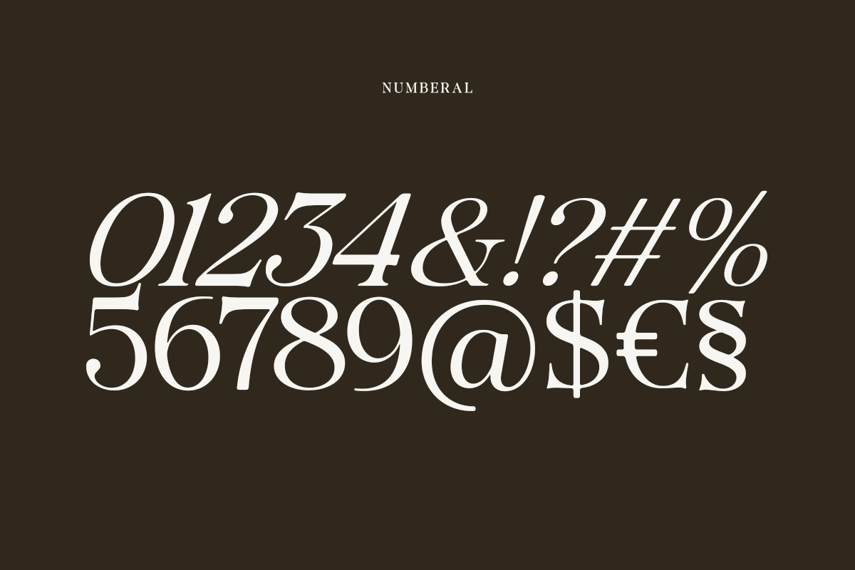 Tanflisc Essence | 12 Fonts, a Serif Font by Pista Mova (Photo 14 of 20)