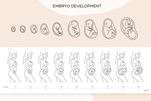 Pregnant & Maternity Woman