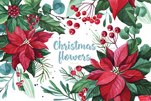 Watercolor Christmas flowers
