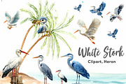 White Stork Clipart, Heron Clipart, an Illustration by CreationArt (Thumbnail 1 of 9)