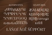 Voices Miracle - Minimal Elegant, a Serif Font by Shakira Studio (Thumbnail 9 of 10)