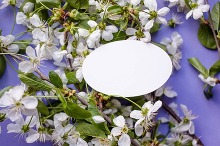 card,cherry flowers, an Arts & Entertainment Photo by Arymer