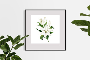 White Lilies Watercolor Set