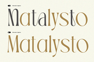 TBJ Palatino Stylish Serif Font