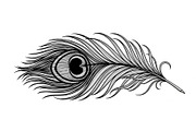Peacock Feather Silhouette Bundle, an Illustration by jahid234 (Thumbnail 10 of 31)