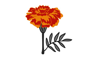 Marigold flower vector isolated, an Object Illustration by Toltemara
