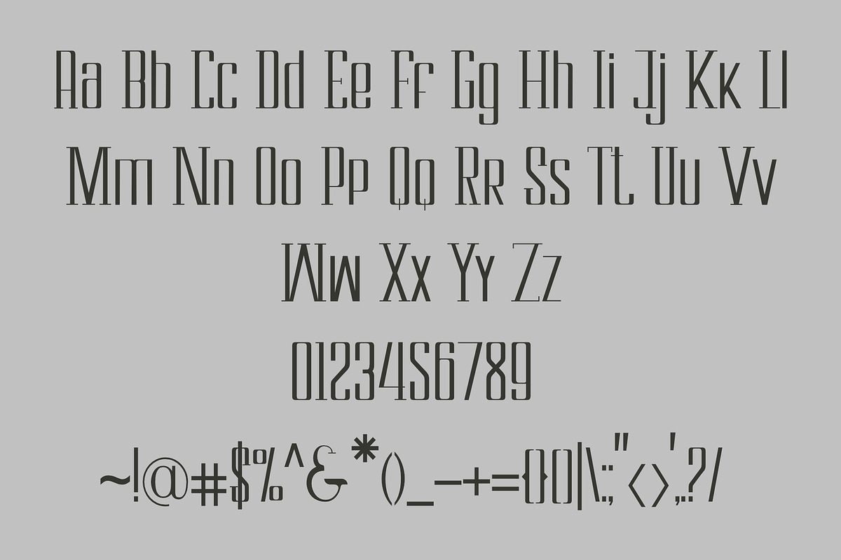 Cloudwick, a Serif Font by LetterStock (Photo 6 of 6)