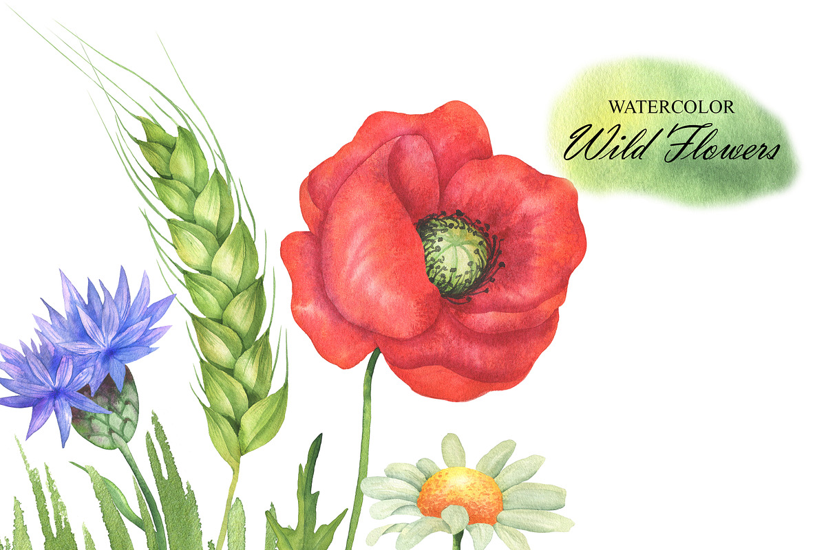 Watercolor Wildflowers clipart, an Illustration by OlDm_Shop (Photo 3 of 7)
