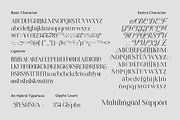 Reshnua - Hybrid Serif Typeface, a Serif Font by Mytype Studio (Thumbnail 2 of 10)