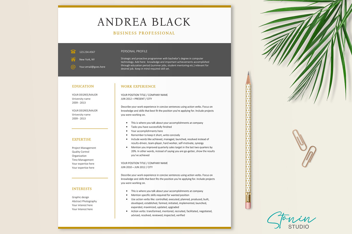 Black and Gold Resume Template, a Resume Template by Stanin Studio (Photo 1 of 10)