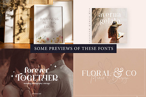 The Serif Font Bundle ONLY $10