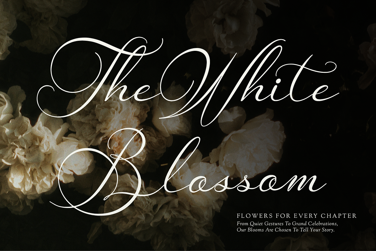 Van Marigella | Classic Calligraphy, a Script Font by Denustudios (Photo 4 of 12)
