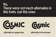 Noland, a Sans Serif Font by Flavortype (Thumbnail 2 of 16)